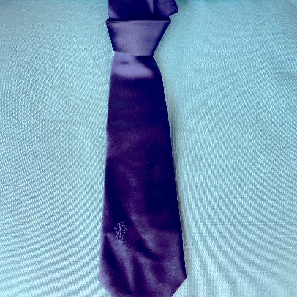 Bronzini men’s tie Executive Business- Vintage Luxury Executive Boss